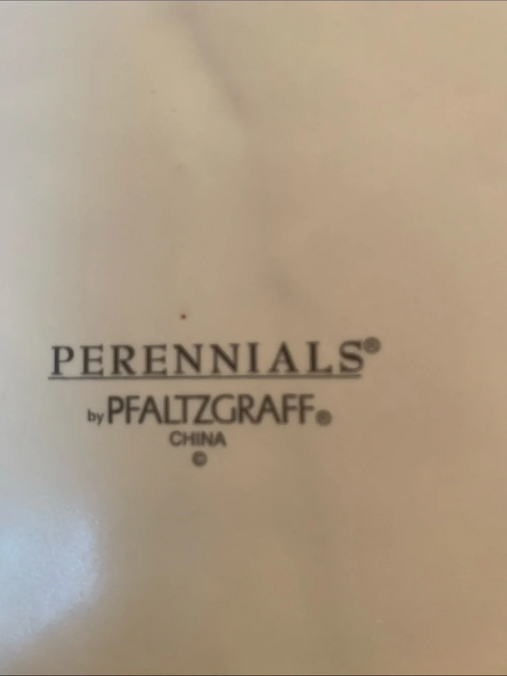 Pfaltzgraff Dinner Plate - Single Piece. Perennials Pattern.